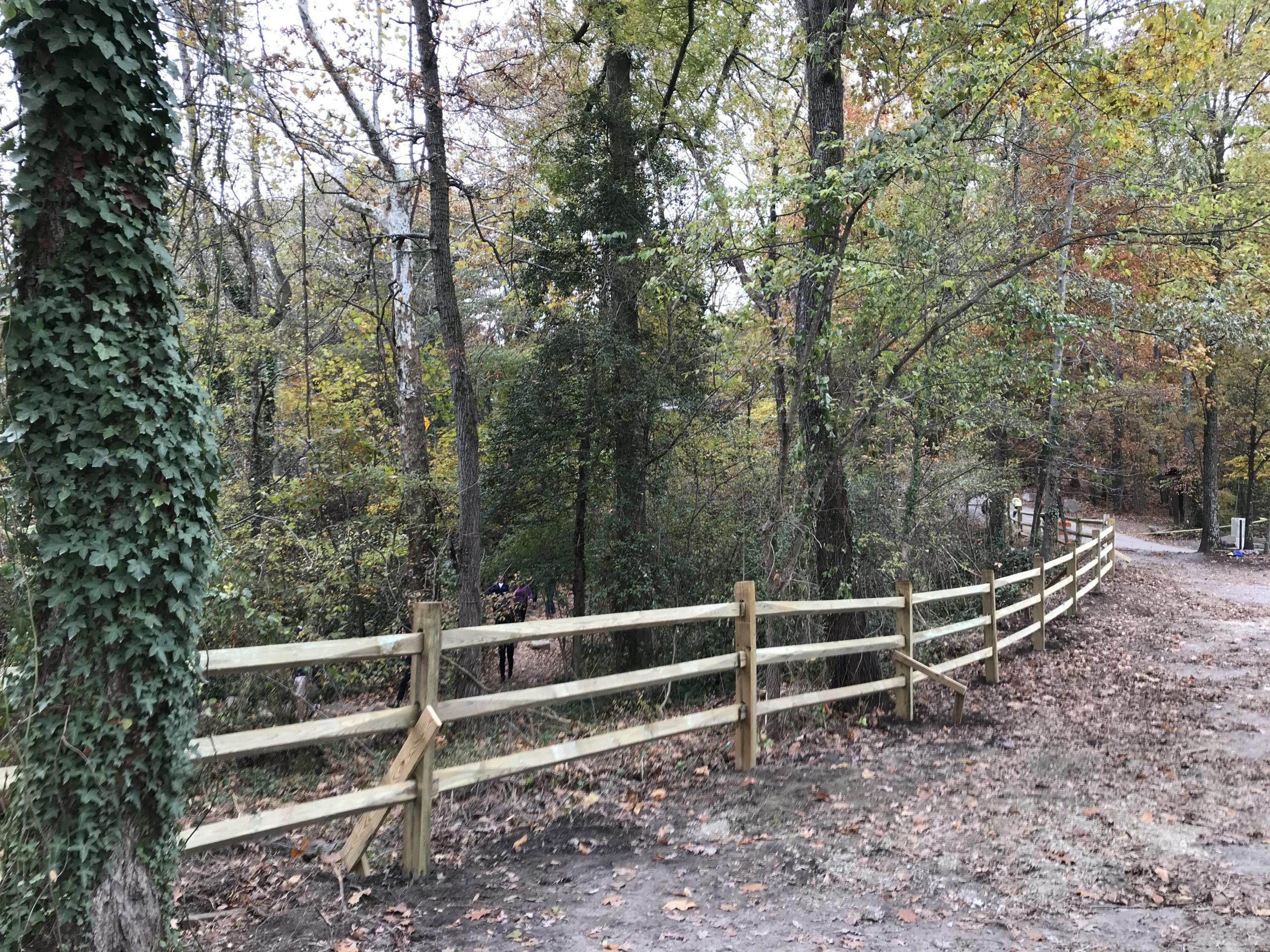 Reedy Creek Split Rail Fencing