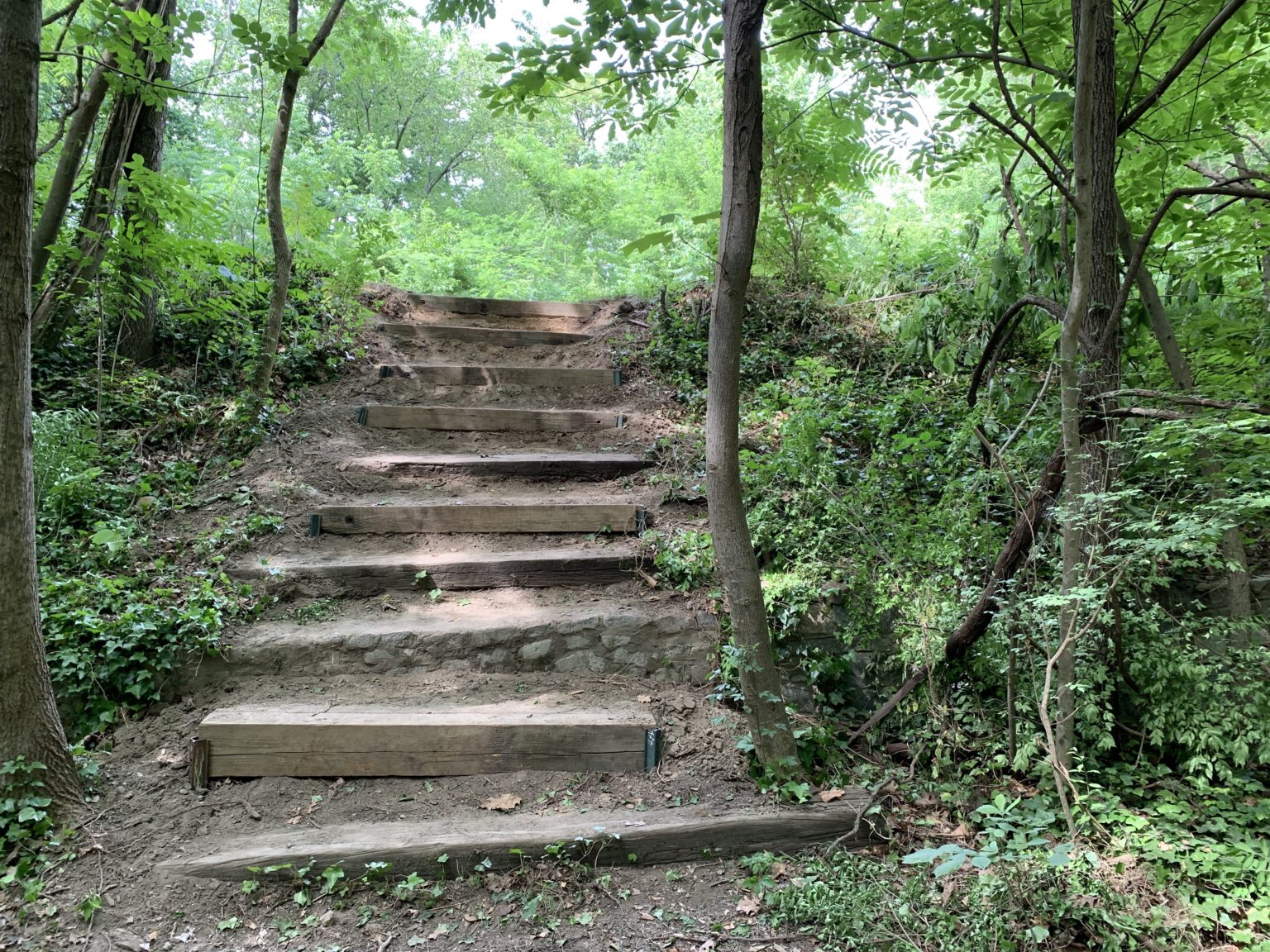 jroc-repairs-steps-in-forest-hill-park-james-river-outdoor-coalition